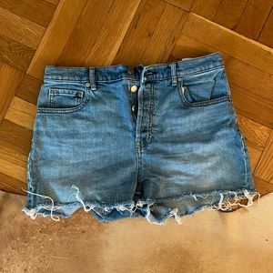 Everlane Cheeky Denim Shorts